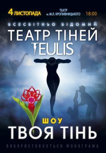 Театр Теней TEULIS. Шоу "Твоя тень"